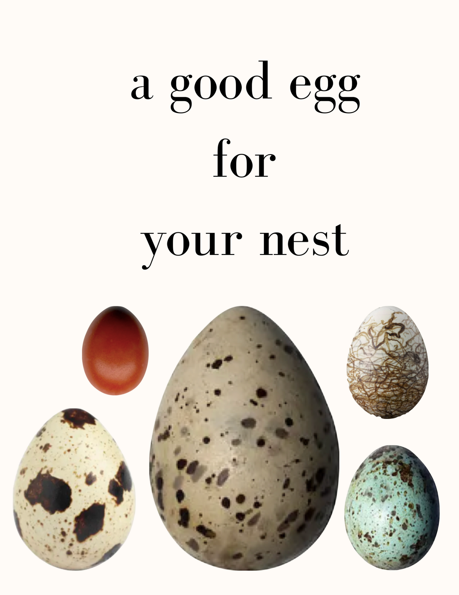 A Good Egg