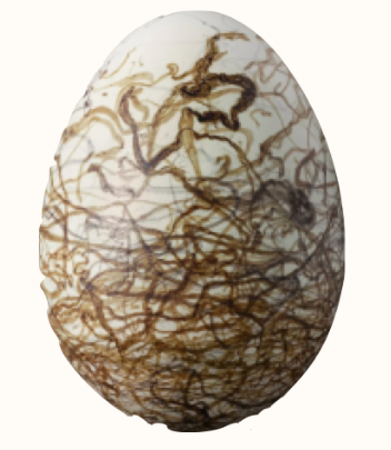 Jacana Egg